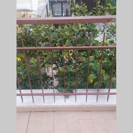 Appto Limone Διαμέρισμα Λίντο ντι Όστια Εξωτερικό φωτογραφία