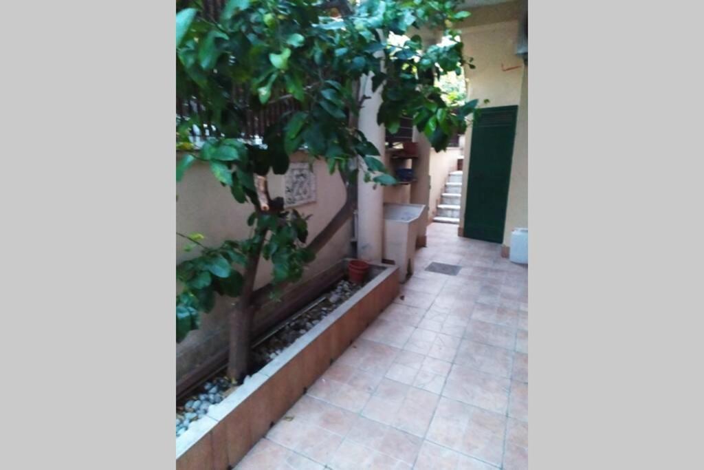 Appto Limone Διαμέρισμα Λίντο ντι Όστια Εξωτερικό φωτογραφία